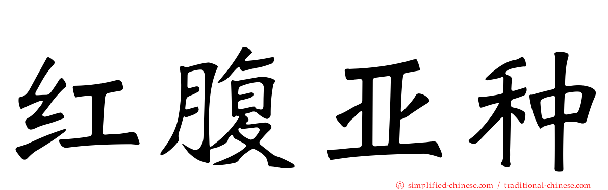 红腹亚种