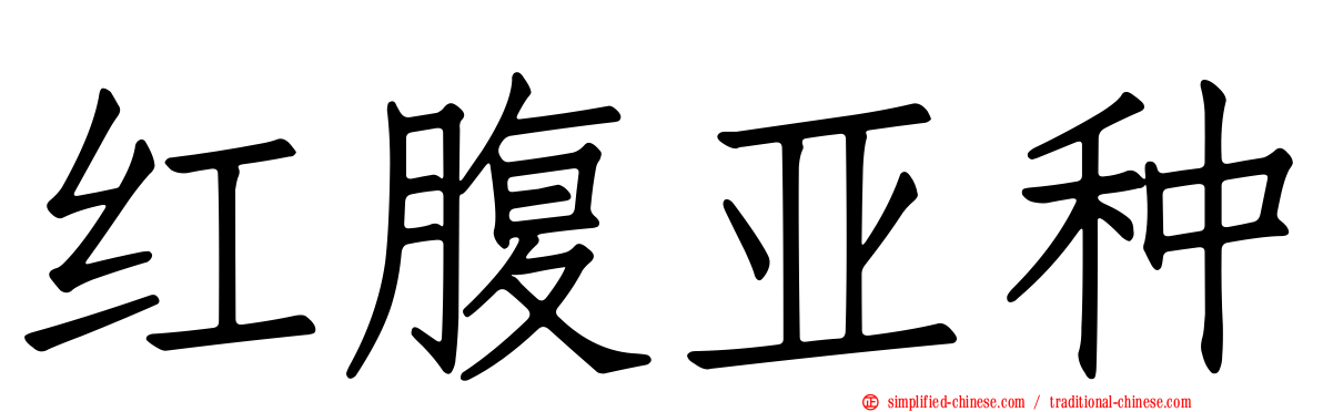 红腹亚种