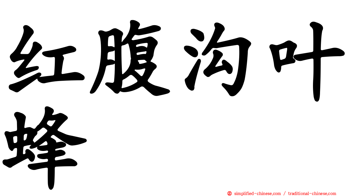 红腹沟叶蜂