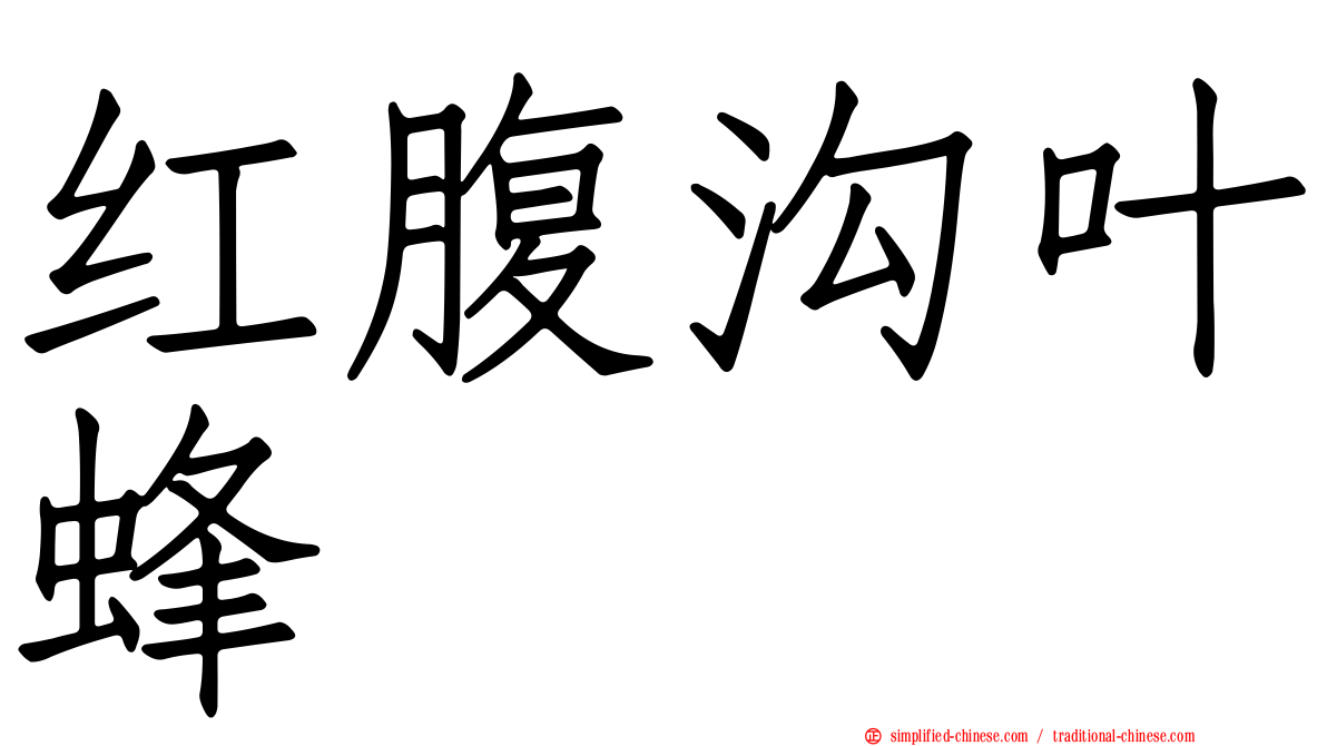 红腹沟叶蜂