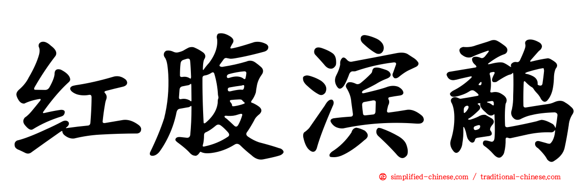 红腹滨鹬