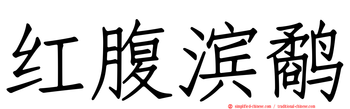 红腹滨鹬