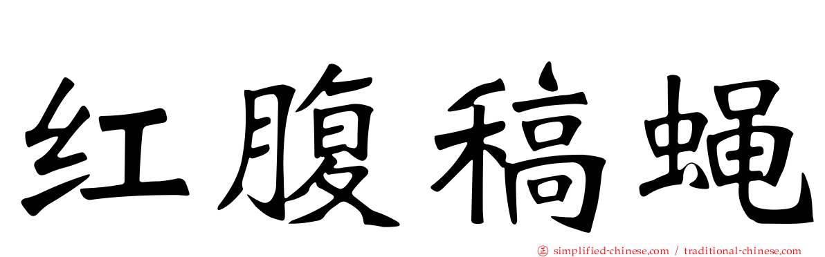 红腹稿蝇