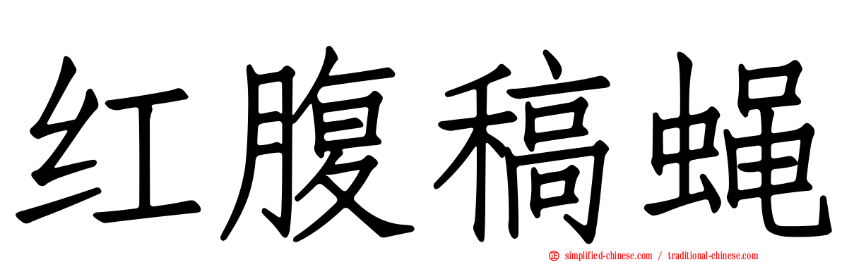 红腹稿蝇