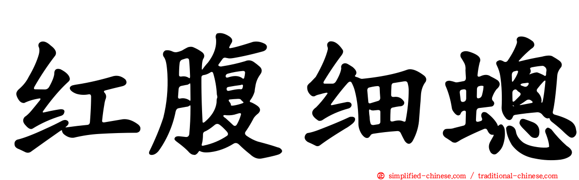 红腹细蟌