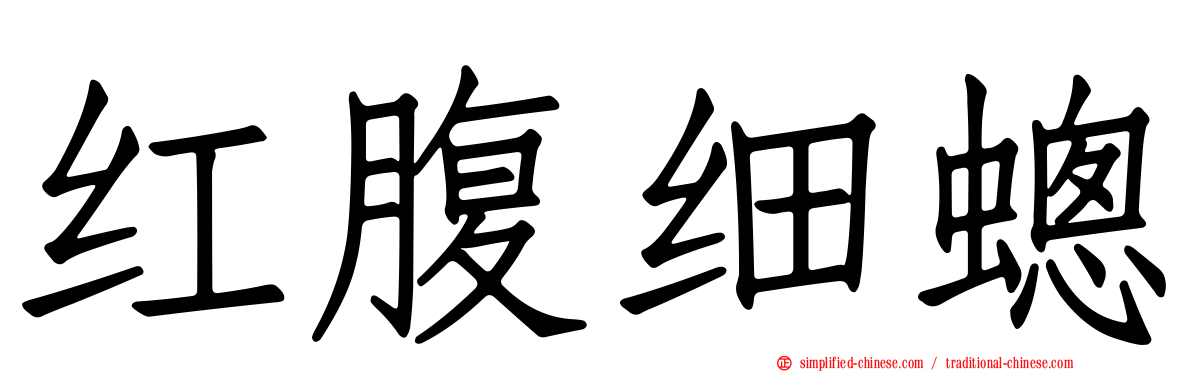 红腹细蟌