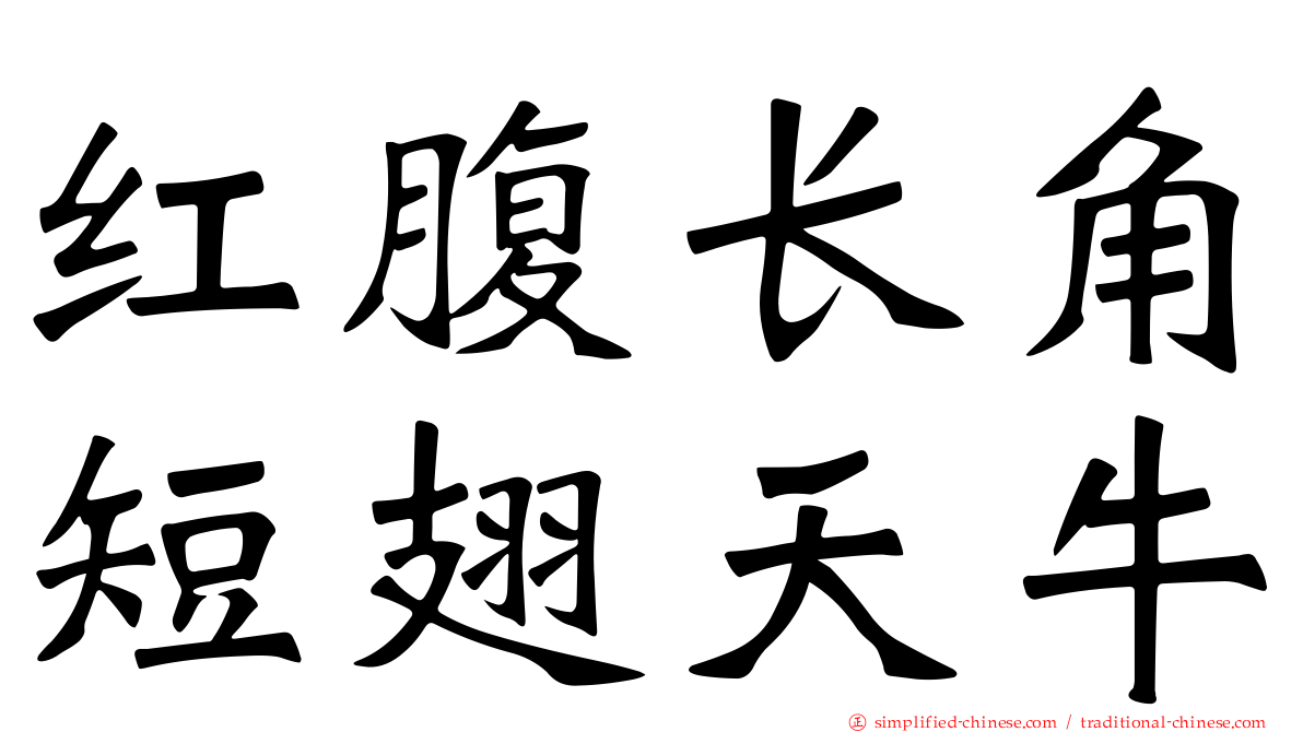 红腹长角短翅天牛