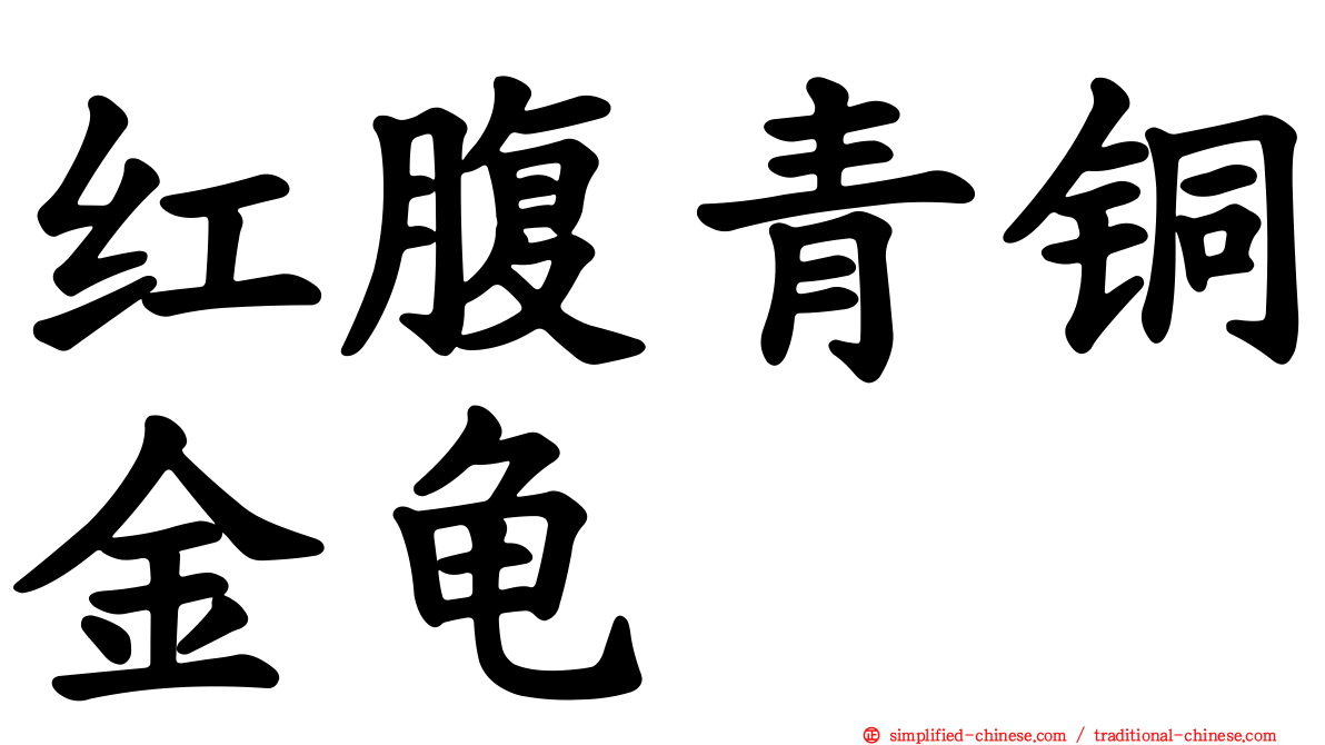 红腹青铜金龟