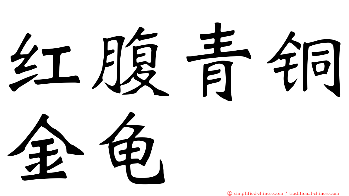 红腹青铜金龟