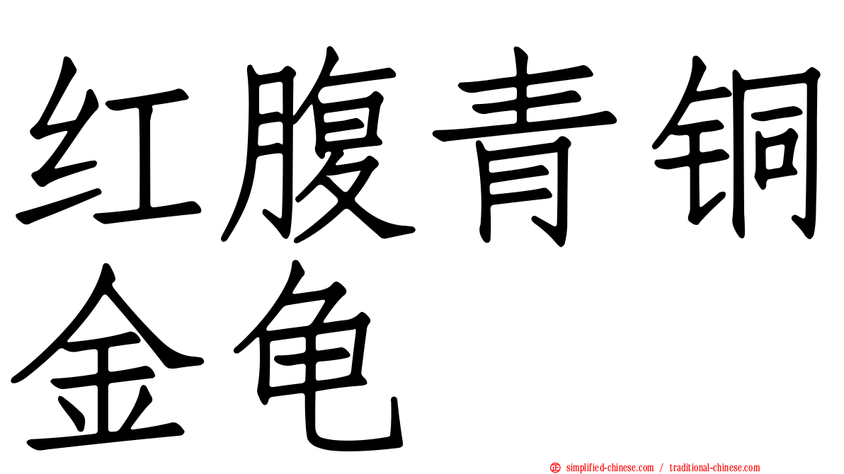 红腹青铜金龟