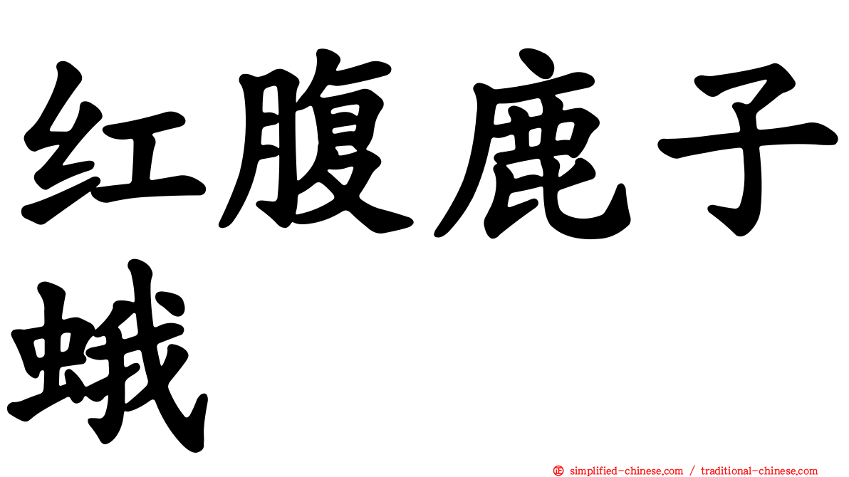 红腹鹿子蛾