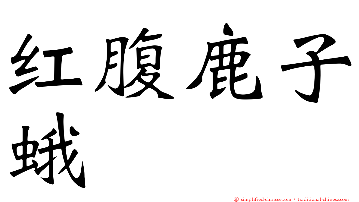 红腹鹿子蛾