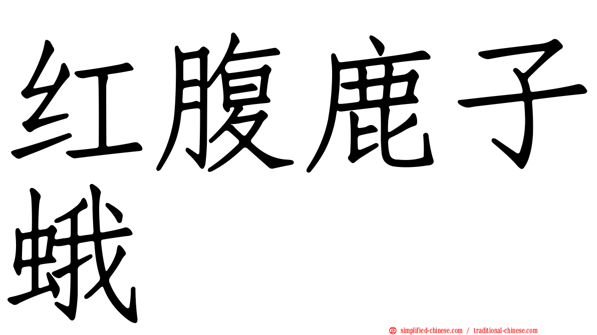 红腹鹿子蛾