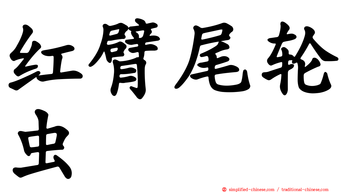 红臂尾轮虫