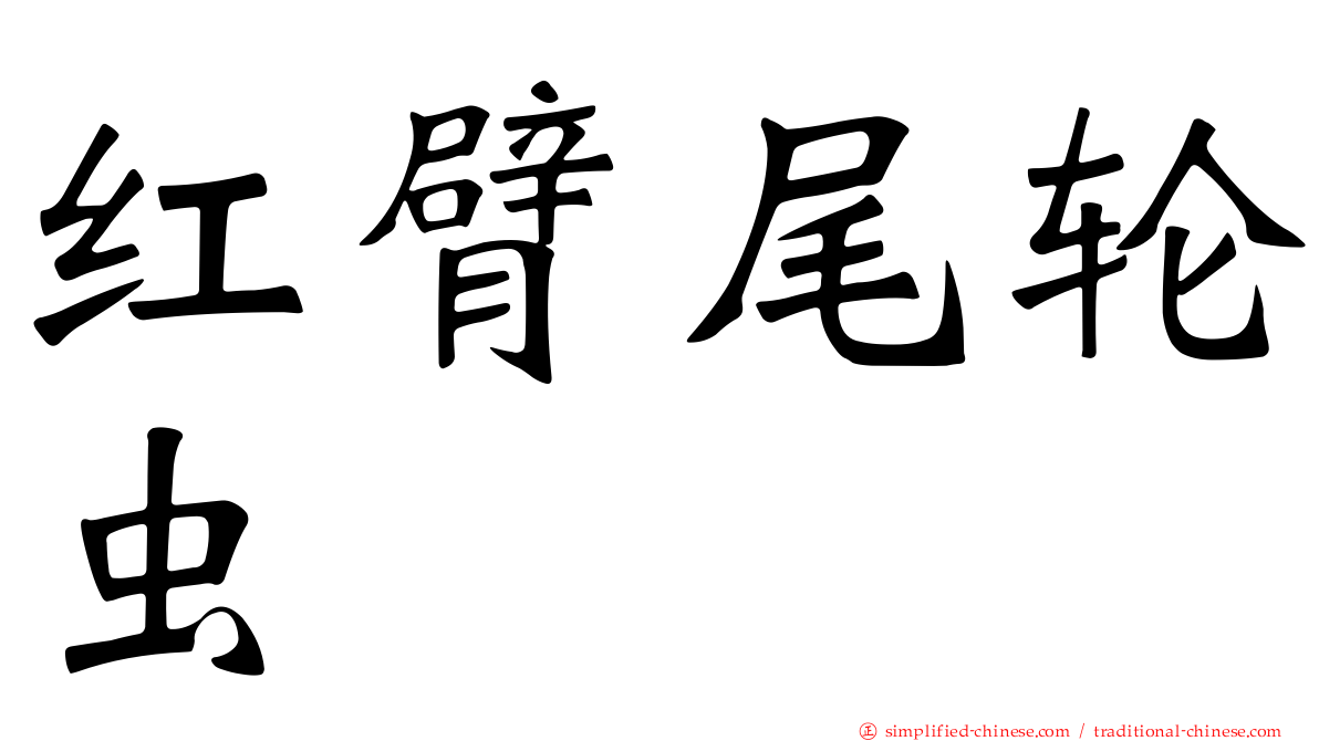 红臂尾轮虫