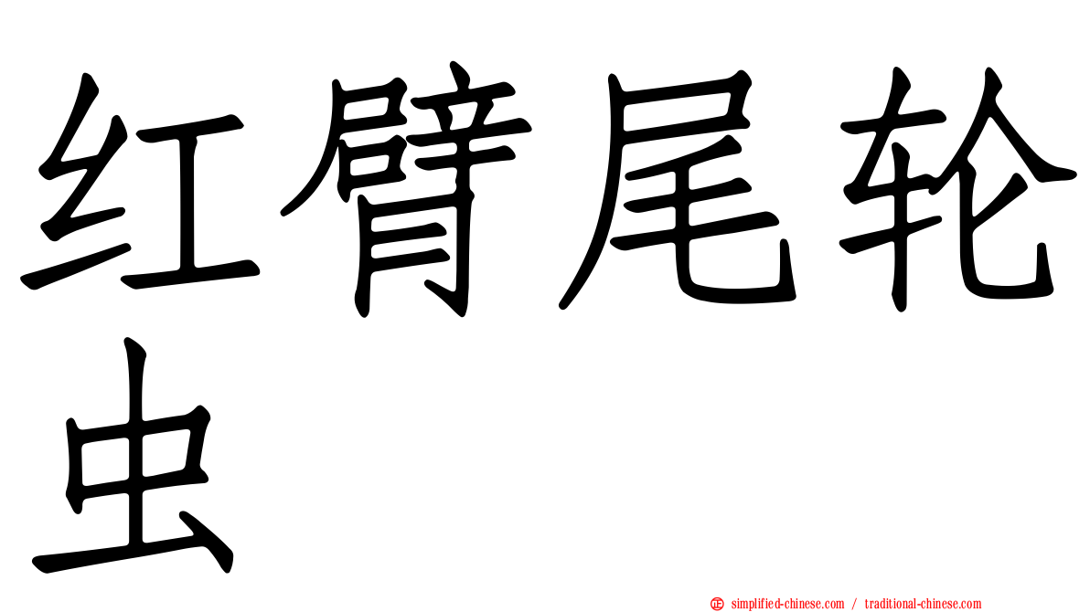 红臂尾轮虫