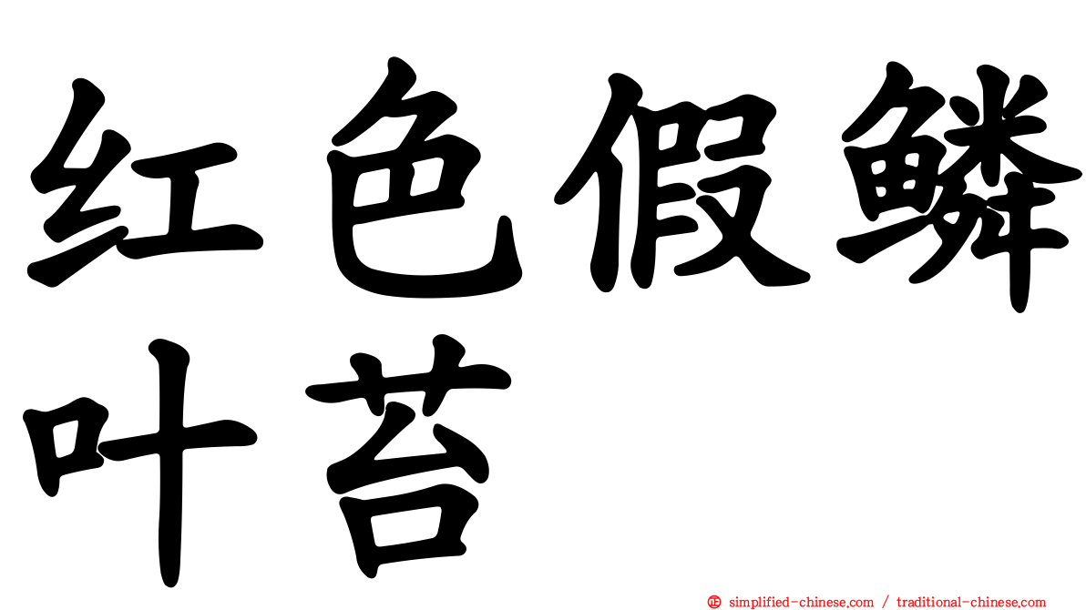 红色假鳞叶苔
