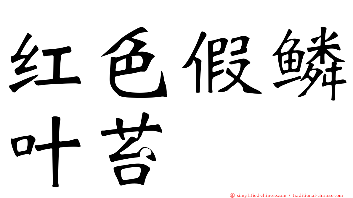 红色假鳞叶苔