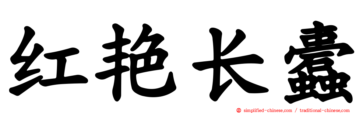 红艳长蠹