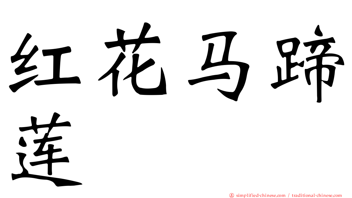 红花马蹄莲