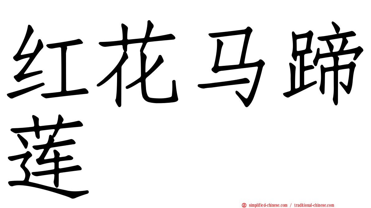 红花马蹄莲