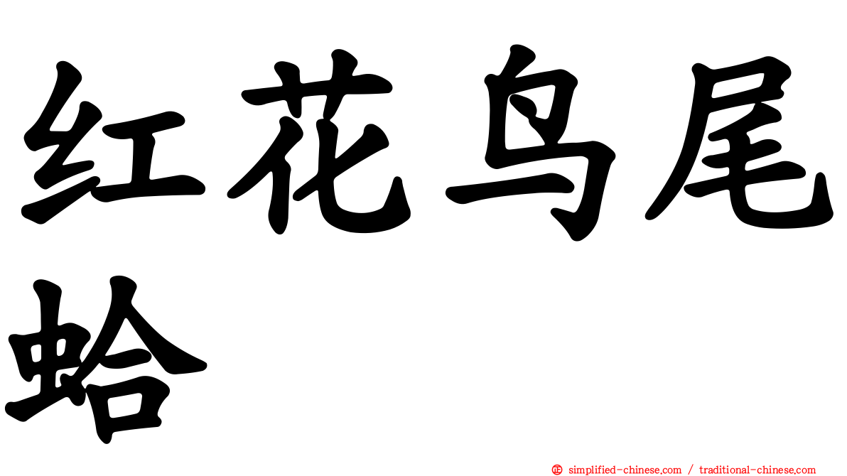 红花鸟尾蛤