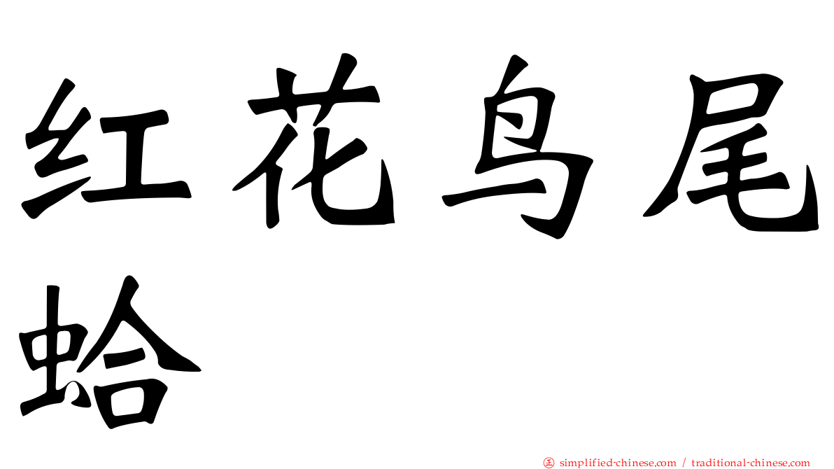 红花鸟尾蛤