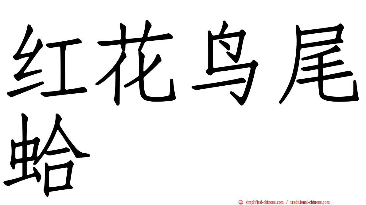 红花鸟尾蛤