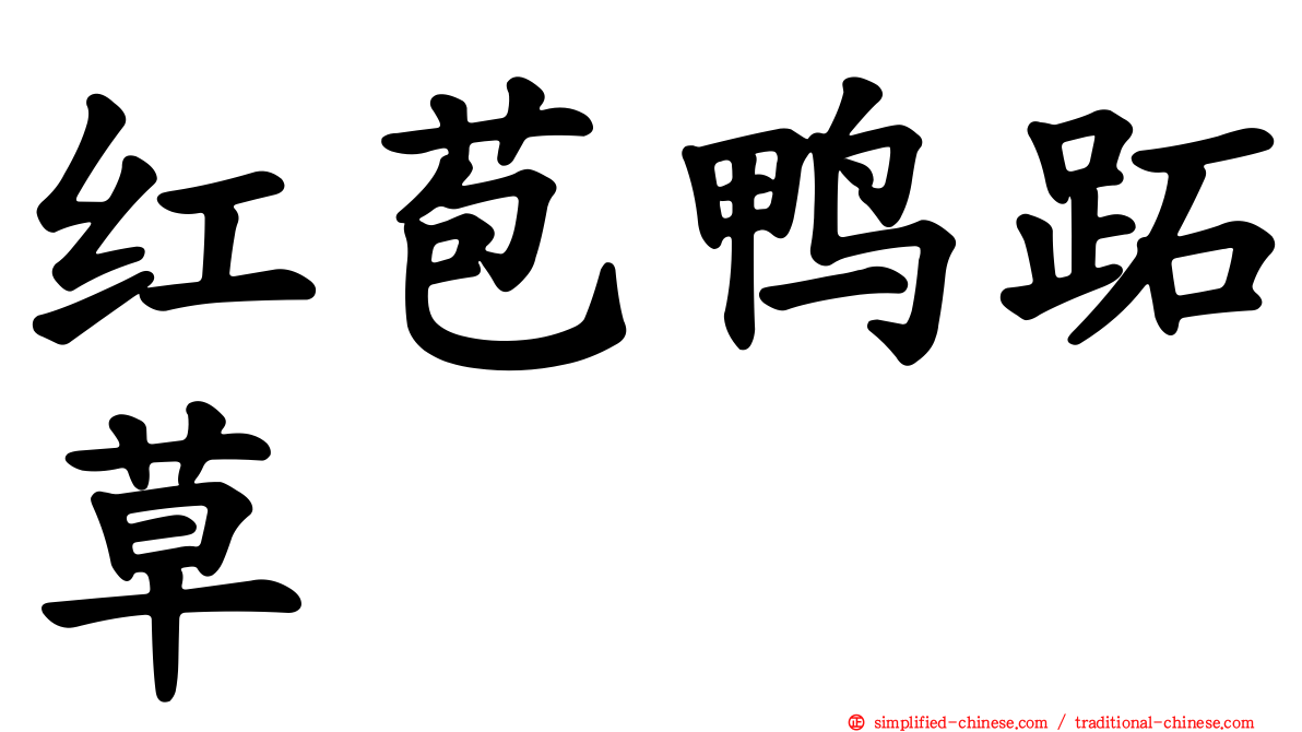 红苞鸭跖草
