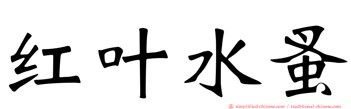红叶水蚤