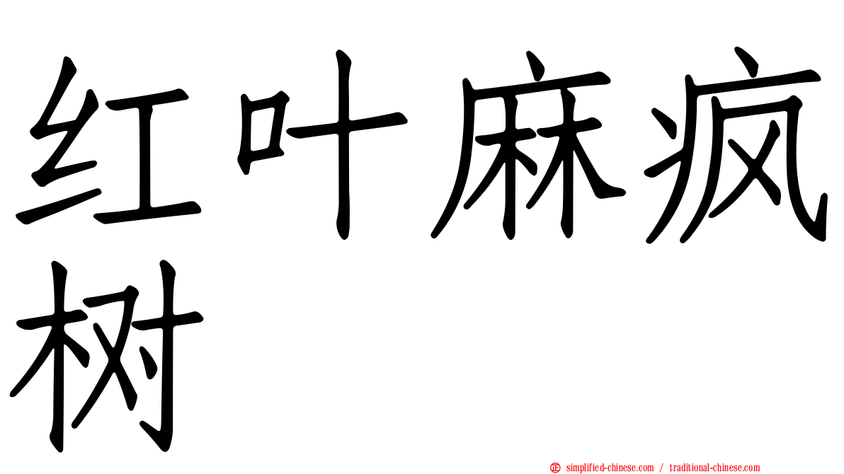 红叶麻疯树