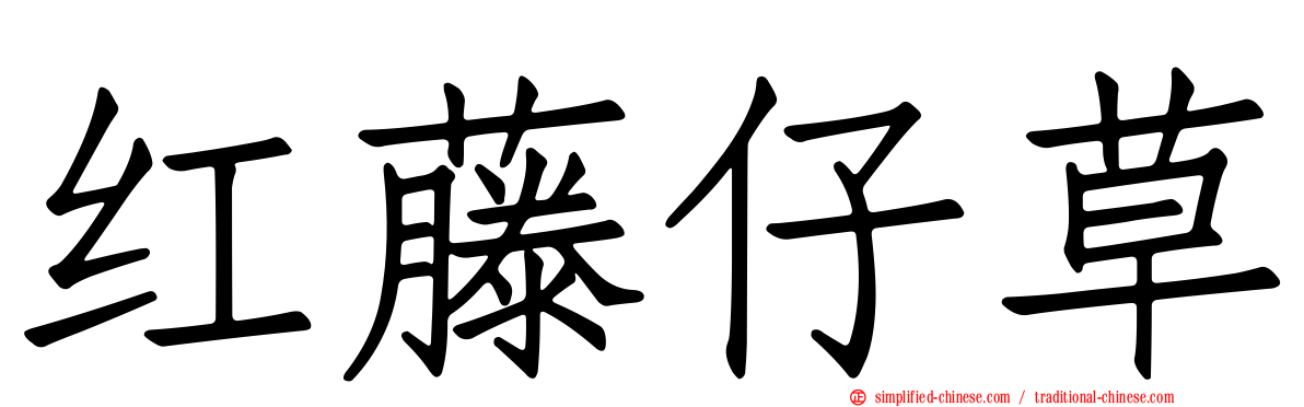 红藤仔草
