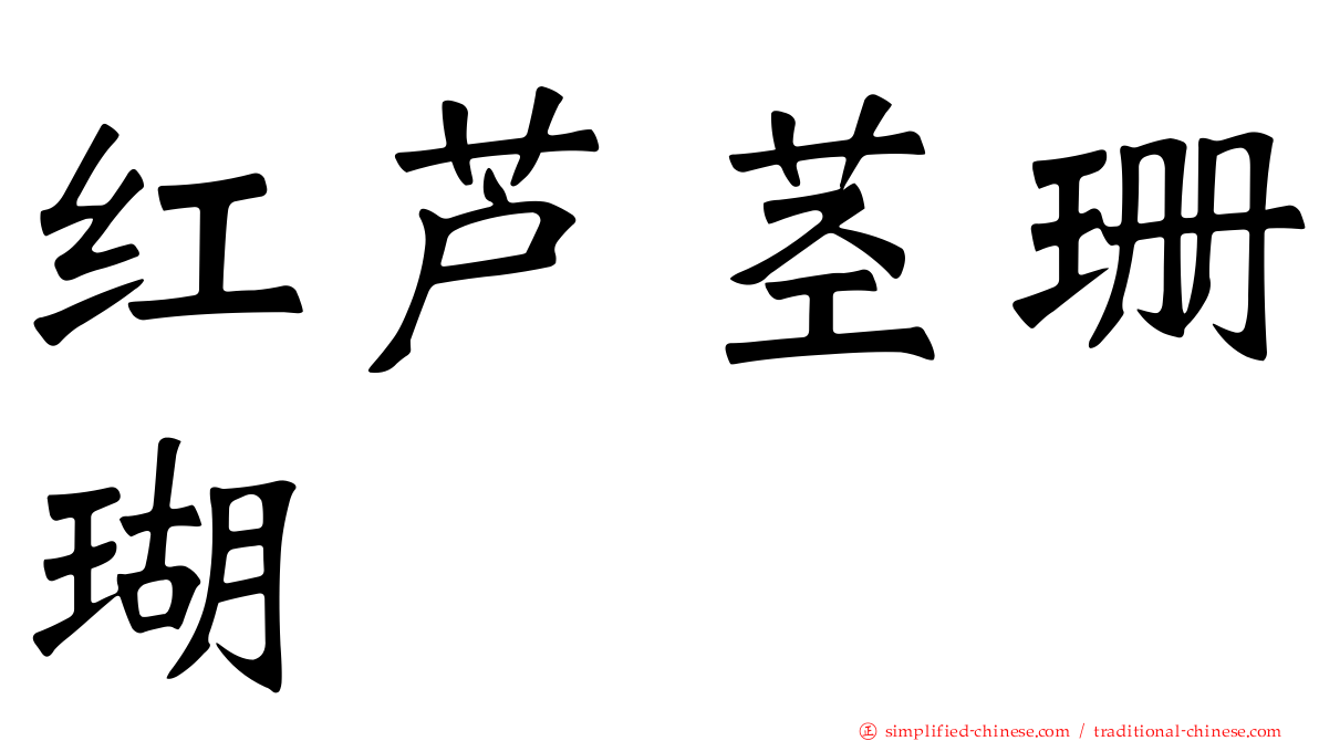 红芦茎珊瑚