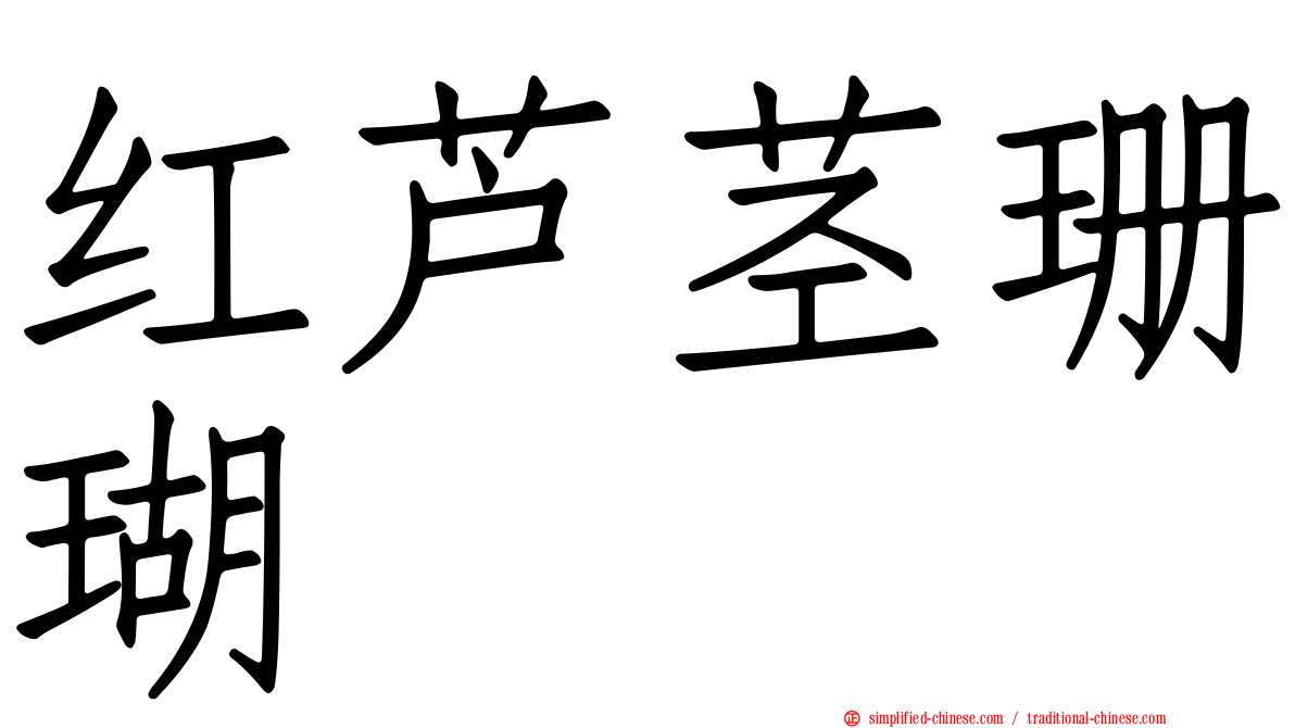 红芦茎珊瑚