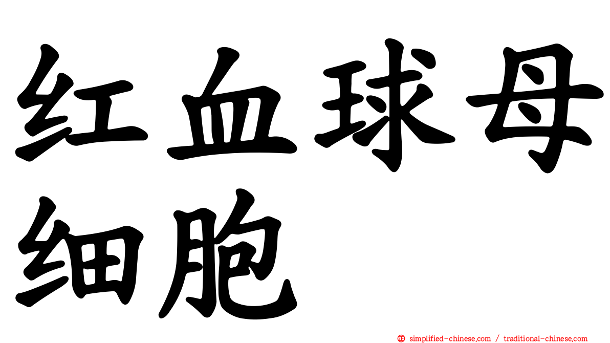 红血球母细胞