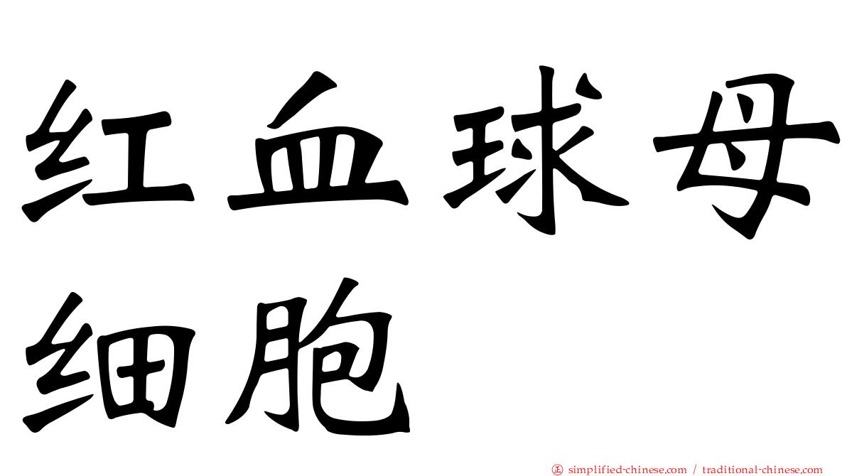 红血球母细胞