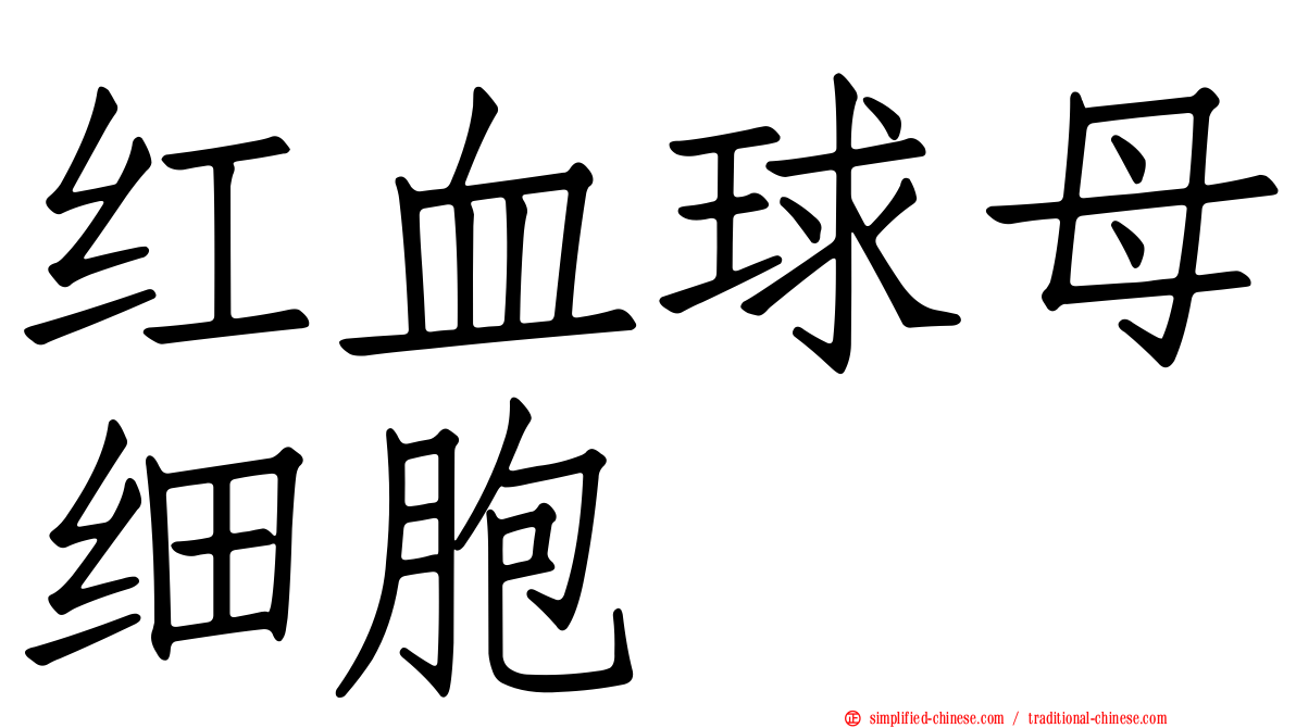 红血球母细胞