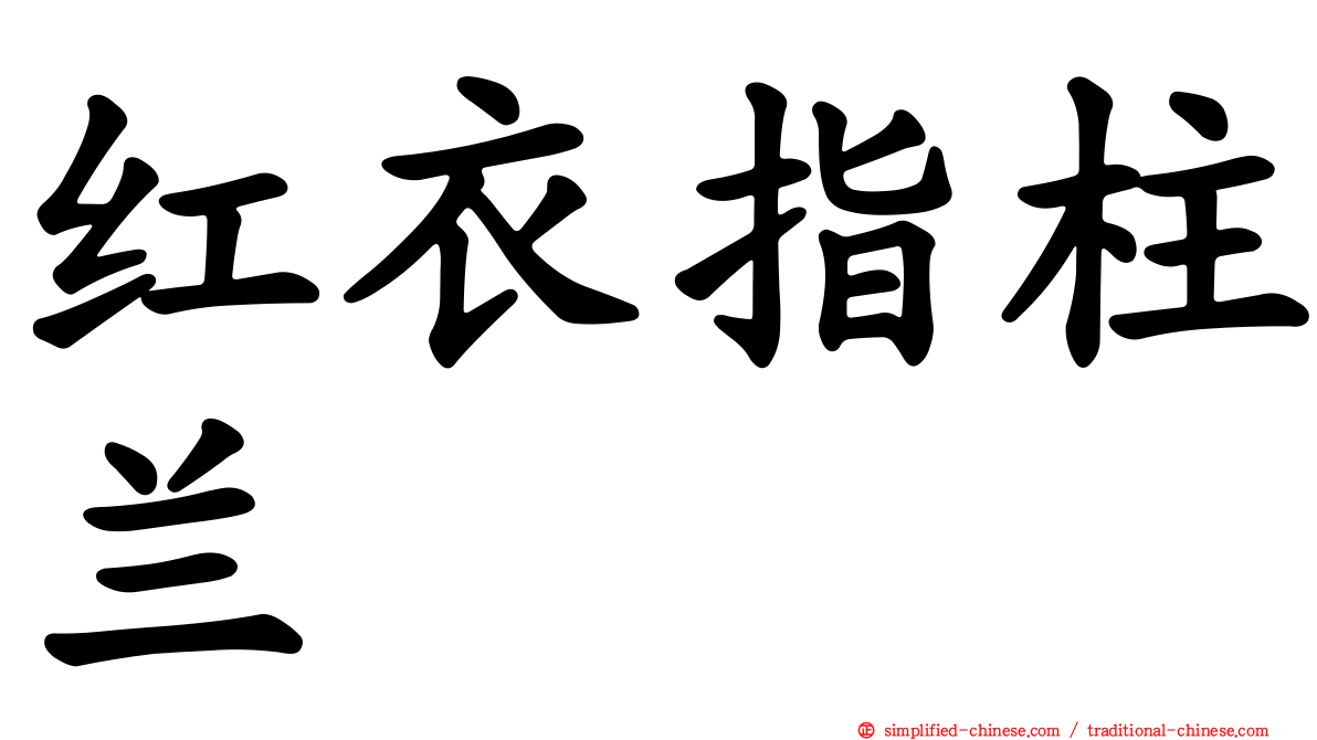 红衣指柱兰