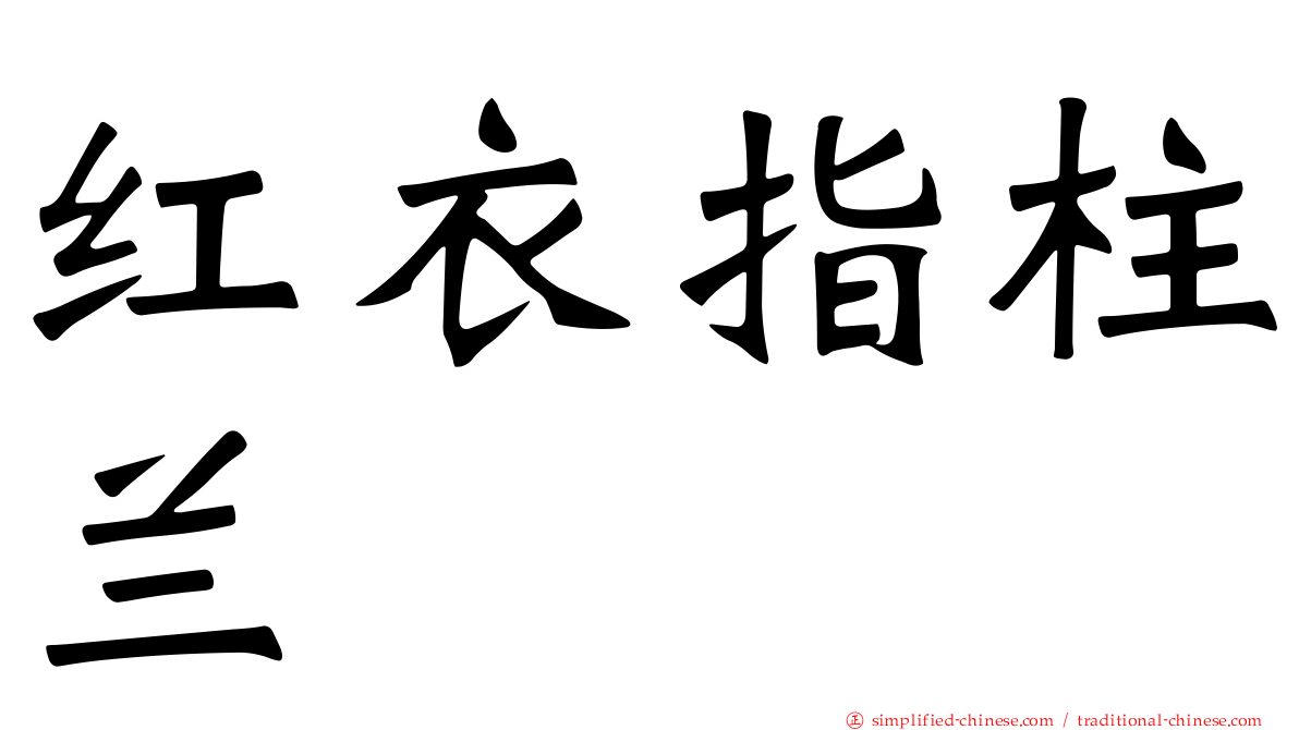 红衣指柱兰