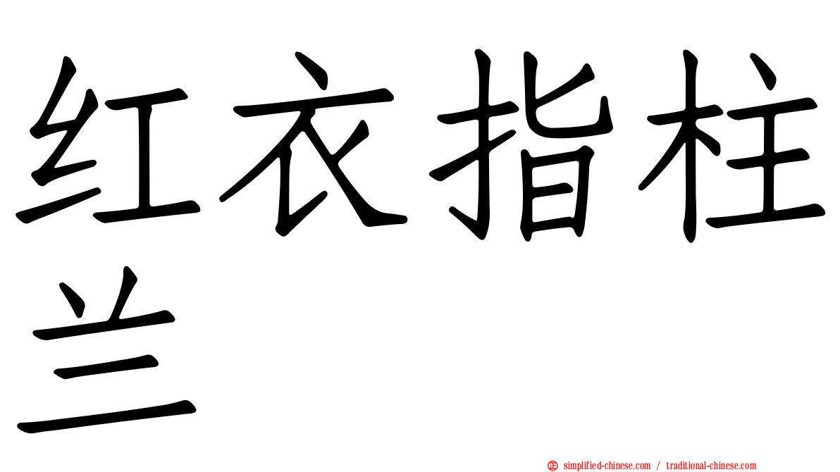红衣指柱兰