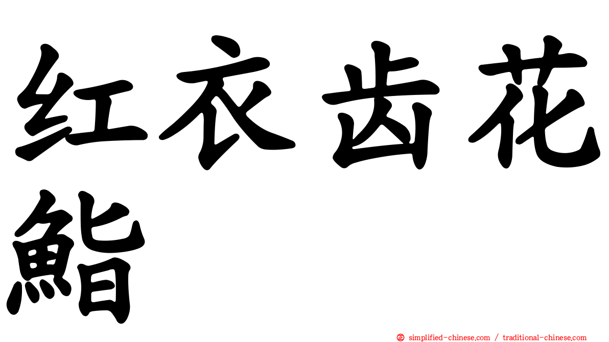 红衣齿花鮨