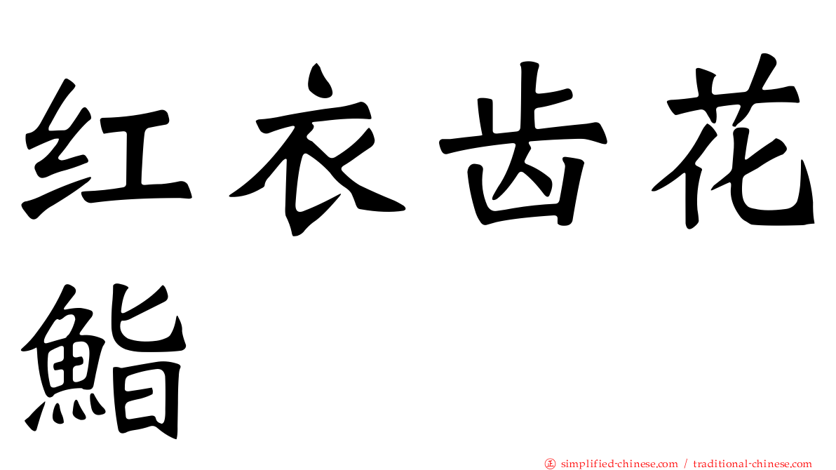 红衣齿花鮨