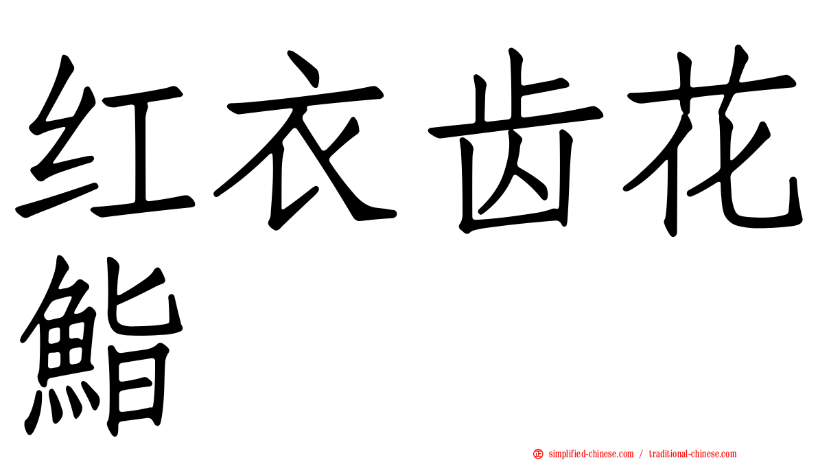 红衣齿花鮨