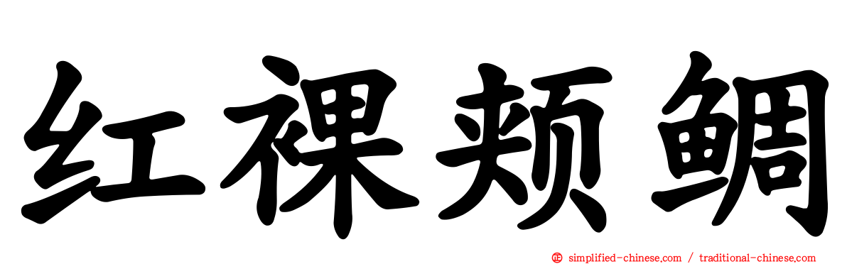 红裸颊鲷
