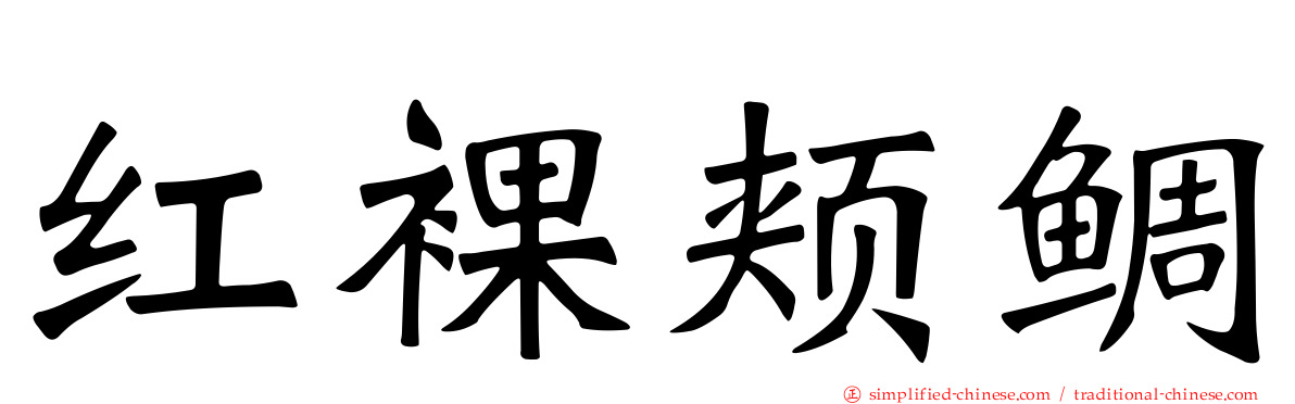 红裸颊鲷