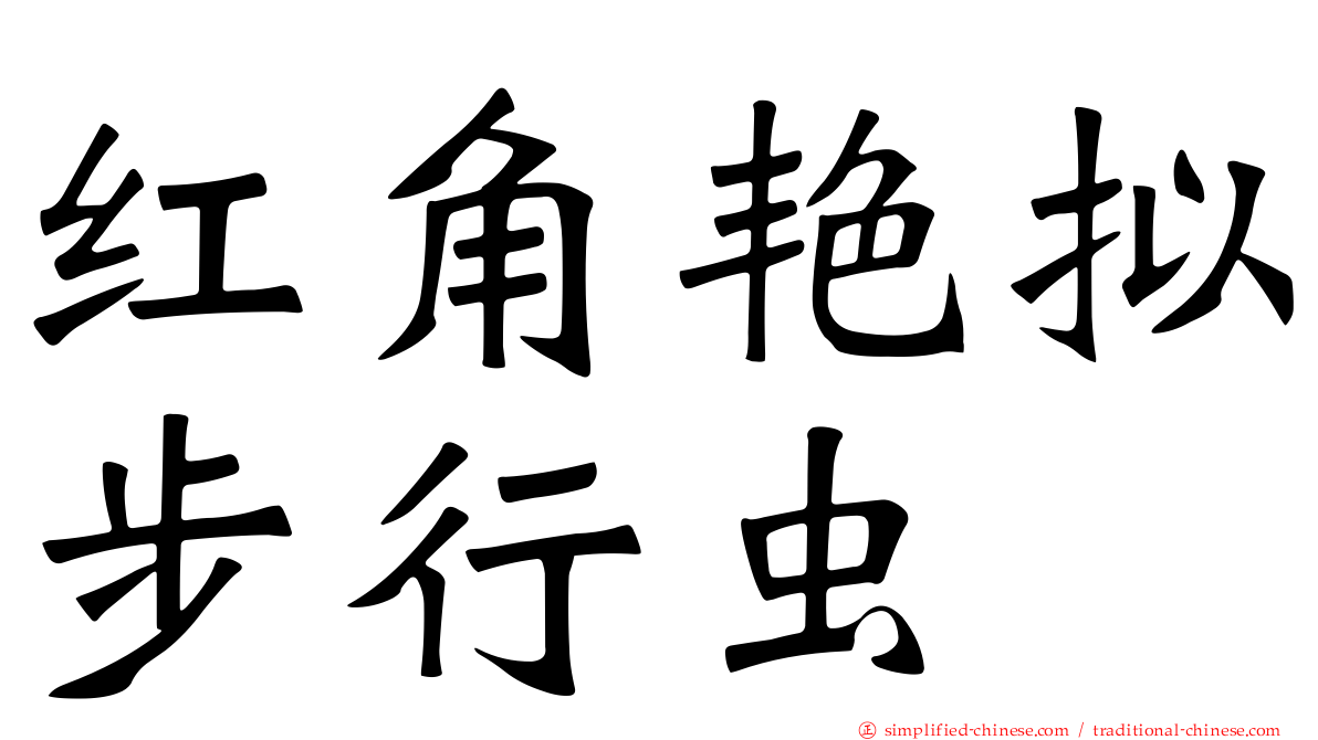 红角艳拟步行虫