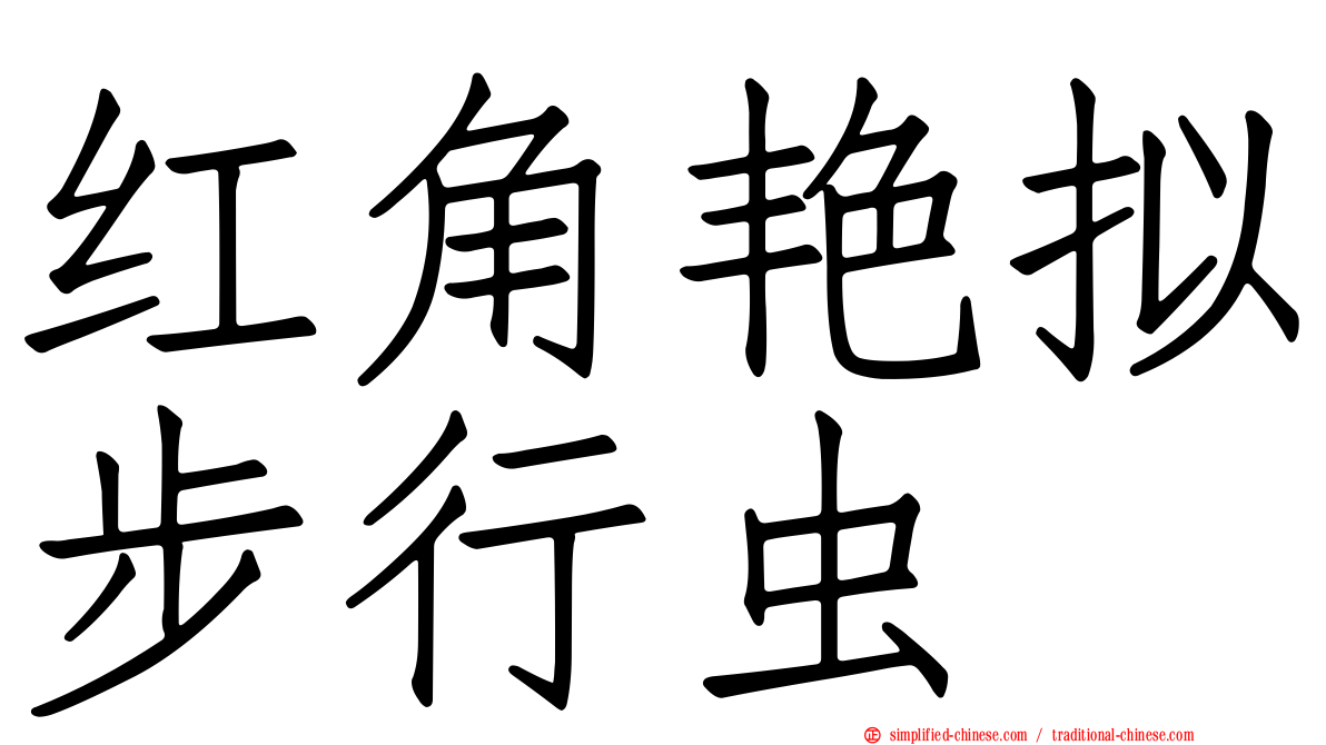红角艳拟步行虫