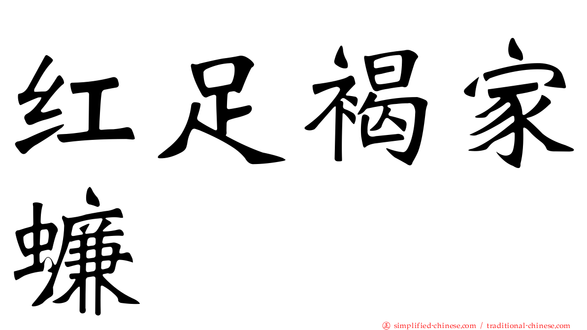 红足褐家蠊