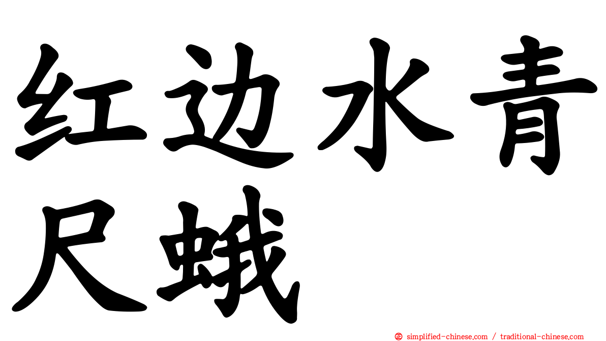 红边水青尺蛾