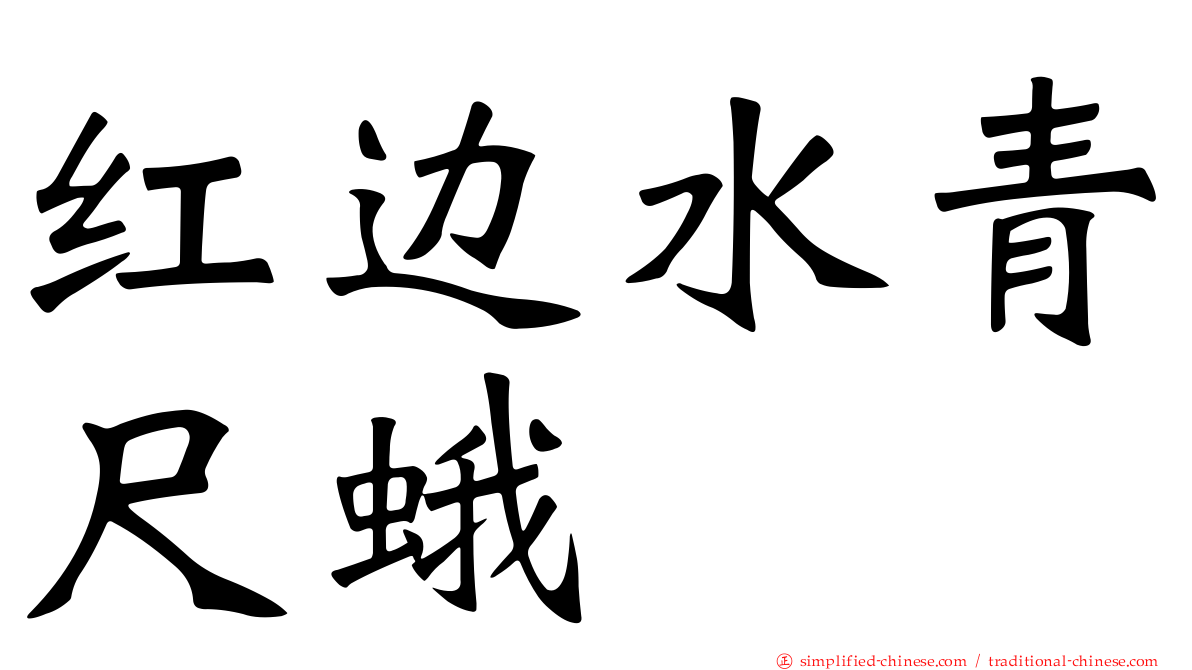 红边水青尺蛾
